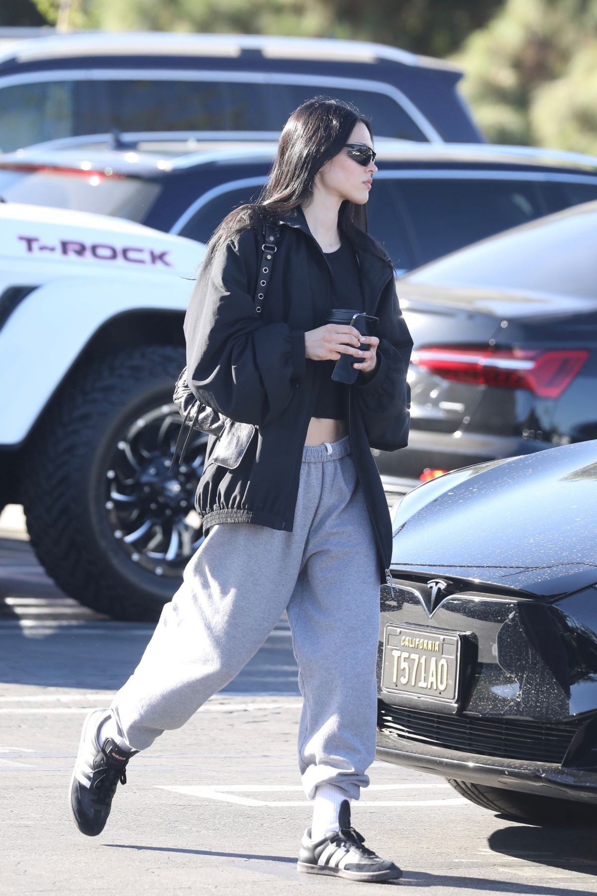 AMELIA HAMLIN Out for Coffee at Erewhon Market in Studio City 10/25 ...