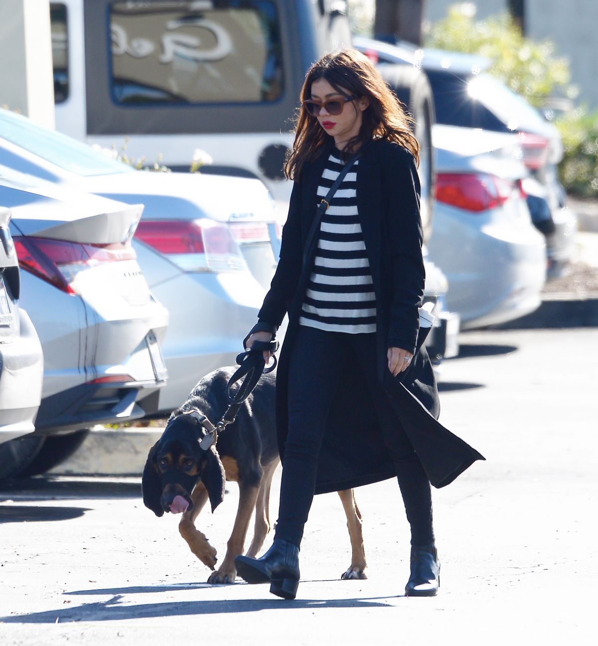 SARAH HYLAND Takes Her Dog to Vet in Los Angeles 11/10/2022 – HawtCelebs