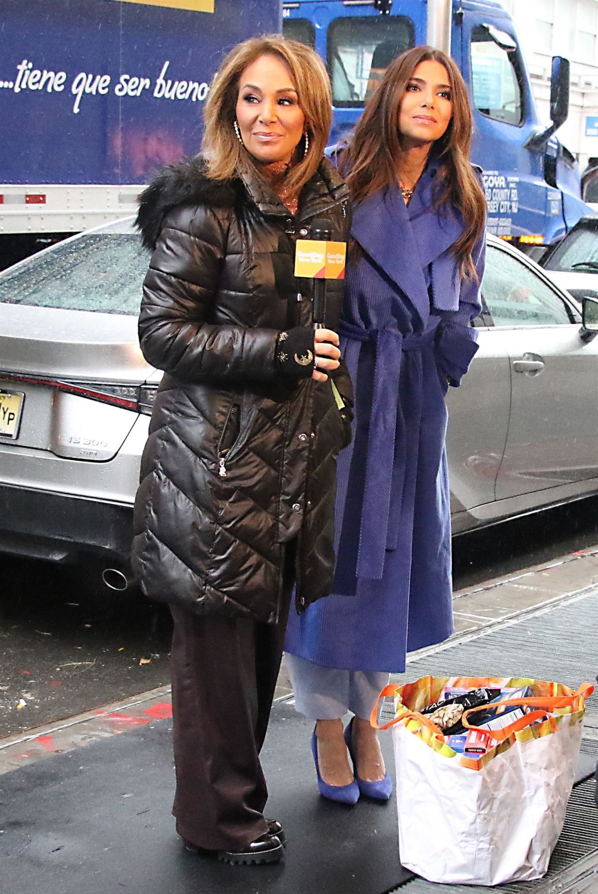Rosanna Scotto And Roselyn Sanchez On The Set Of Good Day New York In New York 12162022 6933