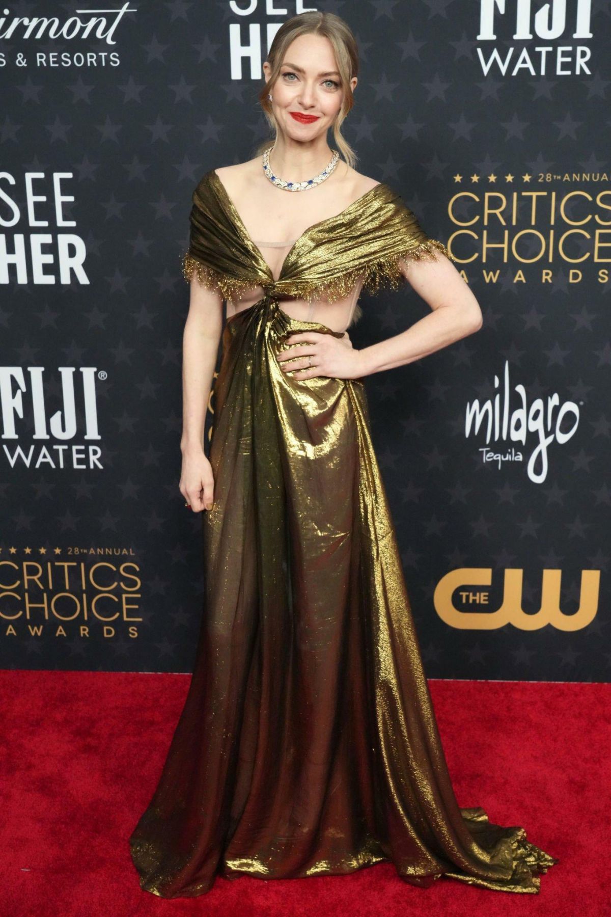 AMANDA SEYFRIED at 28th Annual Critics Choice Awards in Los Angeles 01 ...