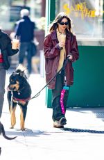 EMILY RATAJKOWSKI Out for Iced Coffee with Her Dog in New York 02/27/2023