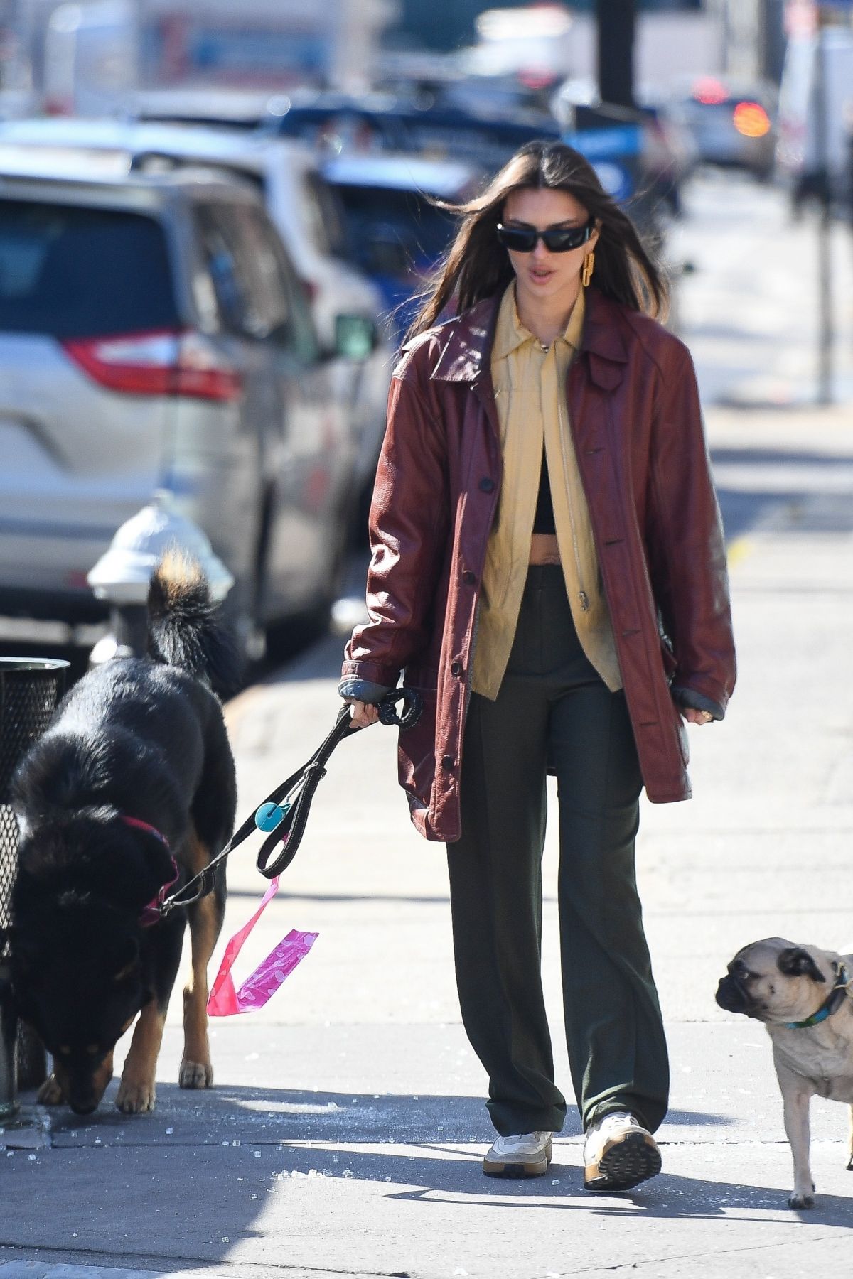 EMILY RATAJKOWSKI Out for Iced Coffee with Her Dog in New York 02/27 ...