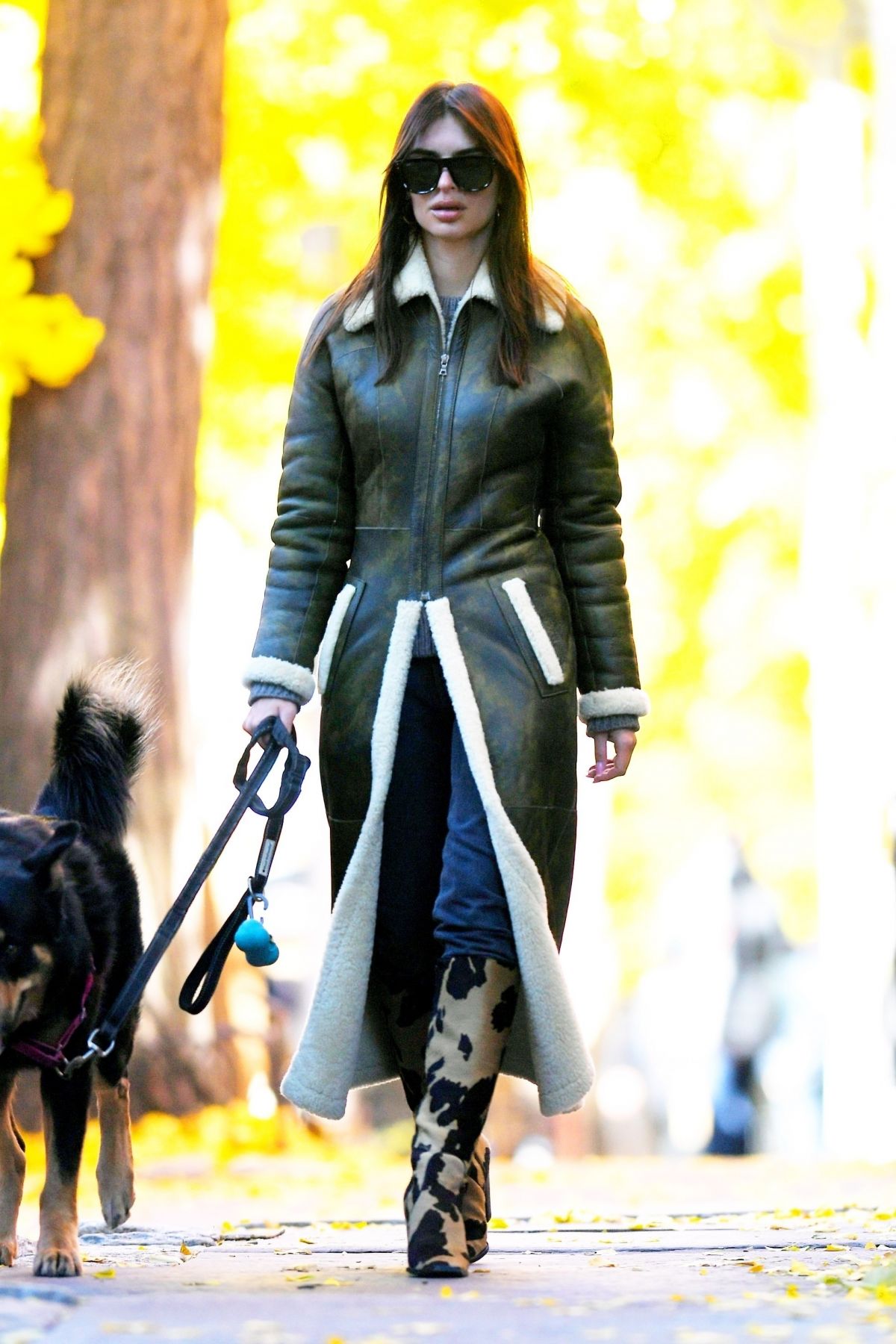 EMILY RATAJKOWSKI Out Walking Her Dog in New York 11/20/2023 – HawtCelebs