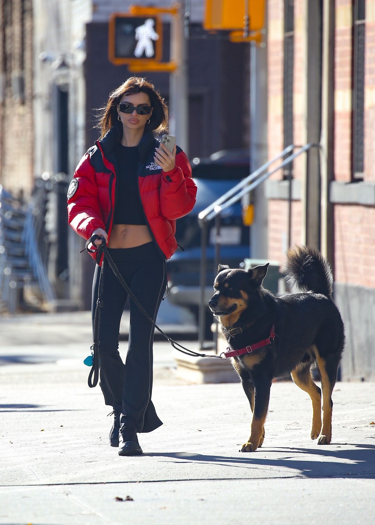 EMILY RATAJKOWSKI Takes Her Dog Out for Walk in New York 12/19/2023 ...