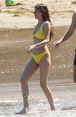 DAKOTA JOHNSON in a Blue Bikini at a Beach in Malibu 06/23/2024