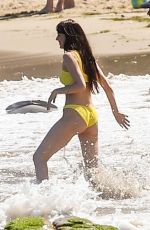 DAKOTA JOHNSON in a Blue Bikini at a Beach in Malibu 06/23/2024