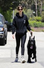 DAKOTA JOHNSON Out with Her Dog in Malibu 06/21/2024