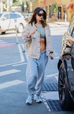 EMILY RATAJKOWSKI Out and About in New York 05/31/2024