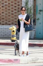 LAURA HARRIER Out with a Friend and Her Dog in Los Angeles 05/31/2024