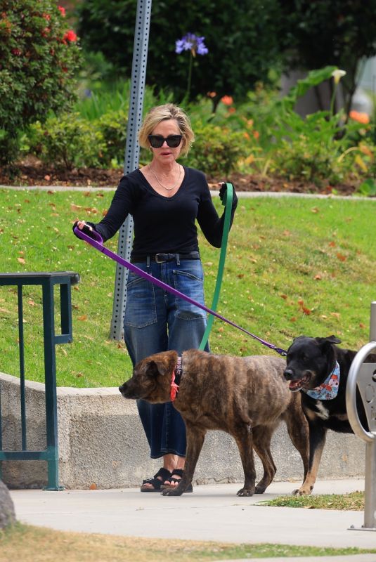MELANIE GRIFFITH Out with Her Fogs at a Park in Beverly Hills 06/18/2024