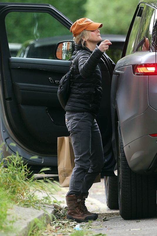 RENEE ZELLWEGER Out and About in London 06/07/2024